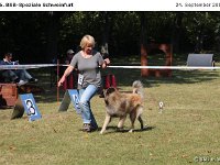 IMG 3508