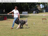 IMG 3509