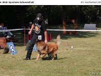 IMG 3510
