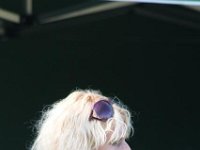 IMG 3678