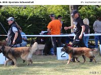 IMG 3719