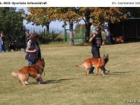 IMG 3722