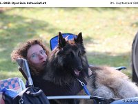 IMG 3780