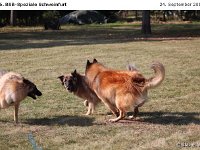 IMG 3809