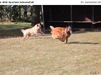 IMG 3815