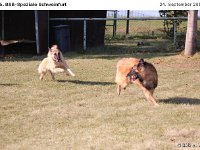 IMG 3817