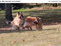 IMG 3820