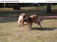IMG 3822