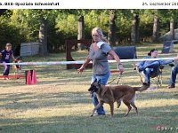 IMG 3941