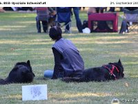 IMG 3979