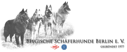 Belgische Schäferhunde Berlin e. V.