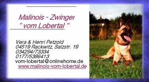Homepage vom Lobertal
