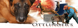Homepage Ottlinger
