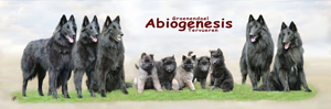 Homepage Abiogenesis