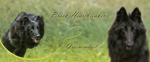 Homepage Black Heartbreaker