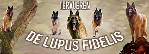 Homepage de Lupus fidelis