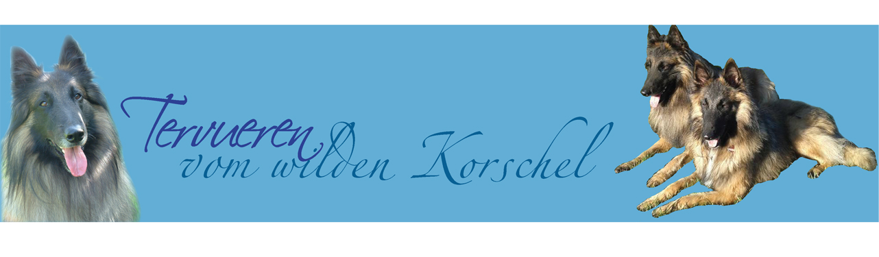 Homepage vom wilden Korschel