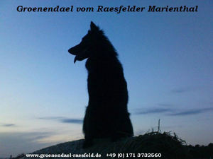 Homepage vom Raesfelder Marienthal
